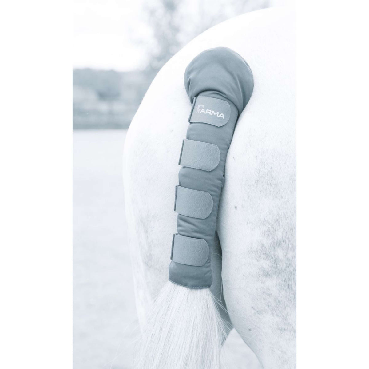 Arma by Shires Schweifschoner Padded Grau