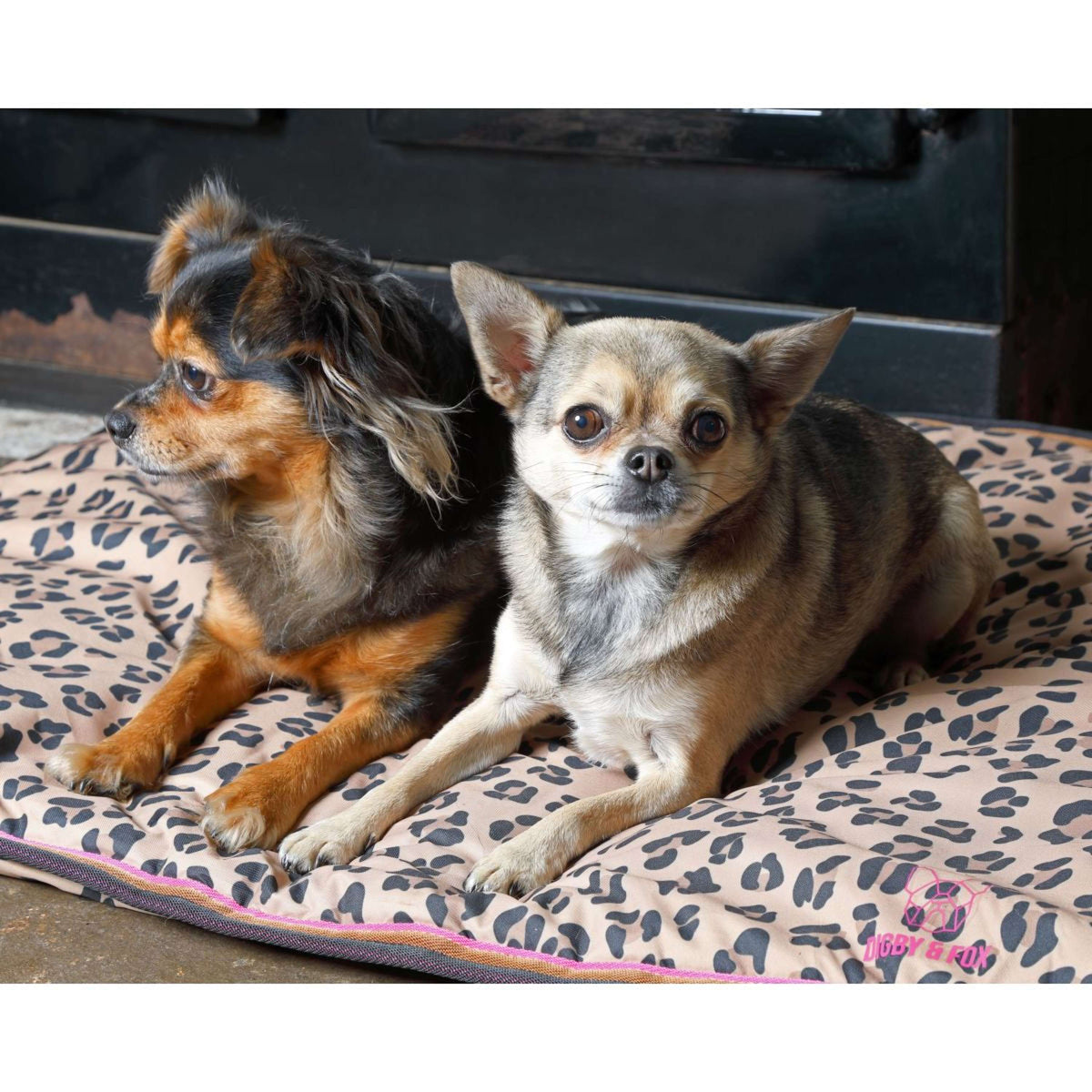 Digby & Fox Hundebett Wasserdicht Leopard