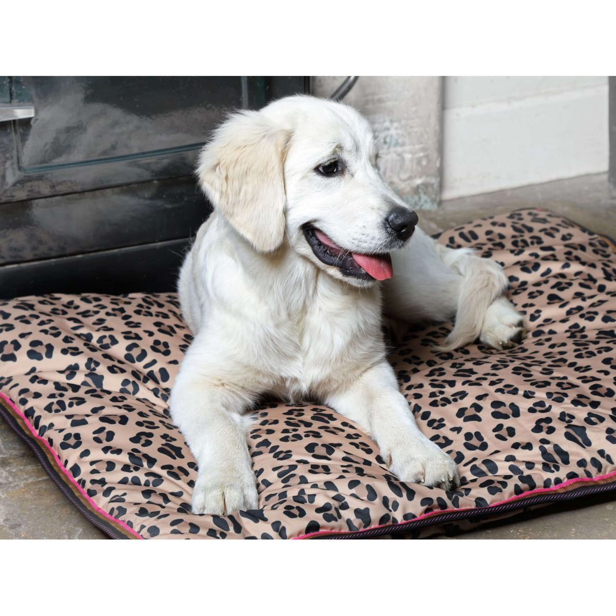 Digby & Fox Hundebett Wasserdicht Leopard