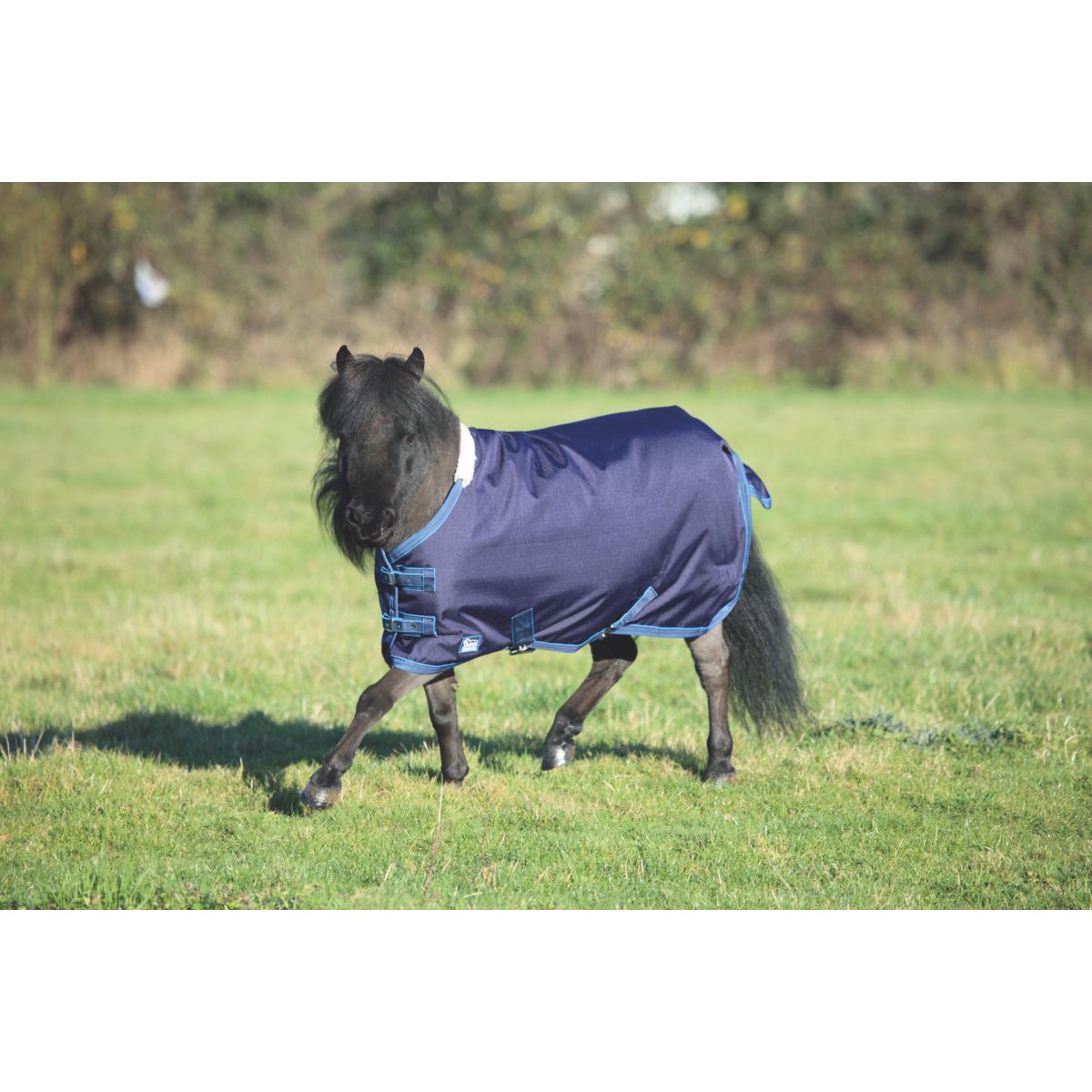 Tempest Original by Shires Regendecke Lite Mini Navy