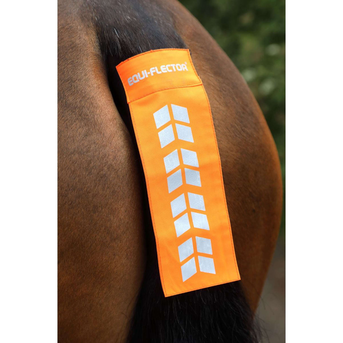 Equi-Flector by Shires Schweifband Mesh Reflektierend Orange