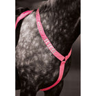 Equi-Flector by Shires Fliegenhaube Reflektierend Fluor Roze