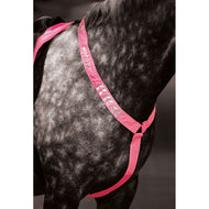Equi-Flector by Shires Fliegenhaube Reflektierend Fluor Roze
