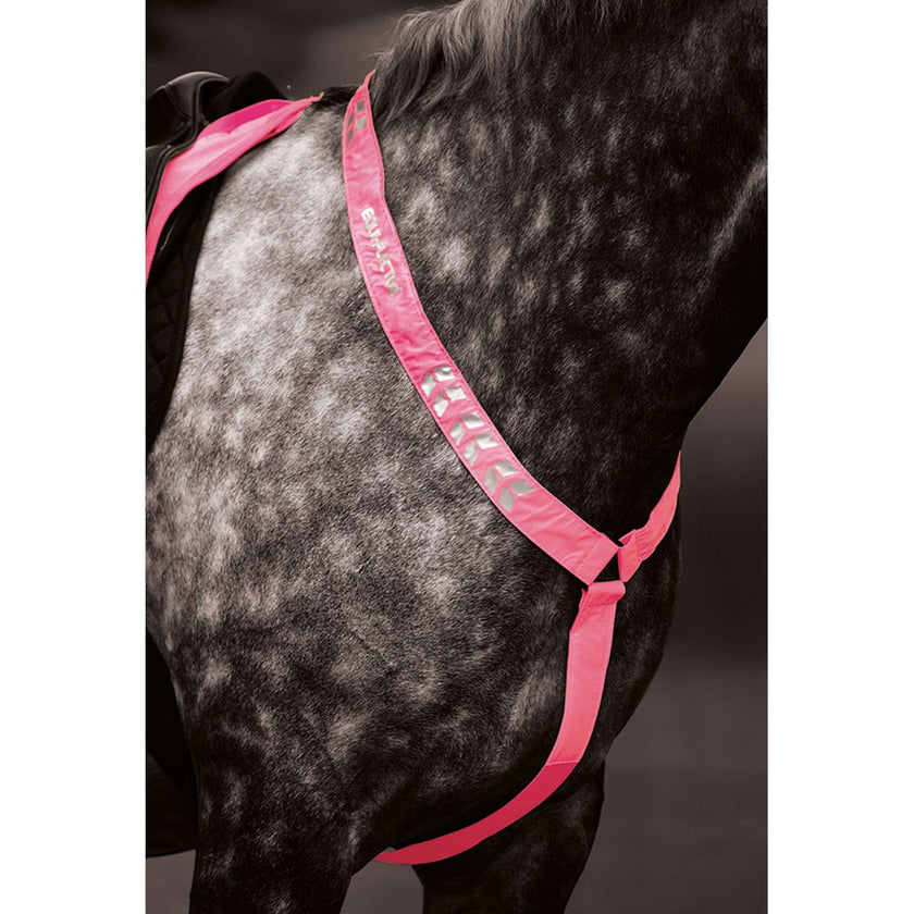 Equi-Flector by Shires Fliegenhaube Reflektierend Fluor Roze