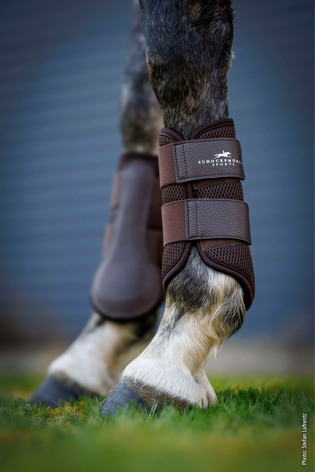 Schockemöhle Gamaschen Mesh Guards Mocca