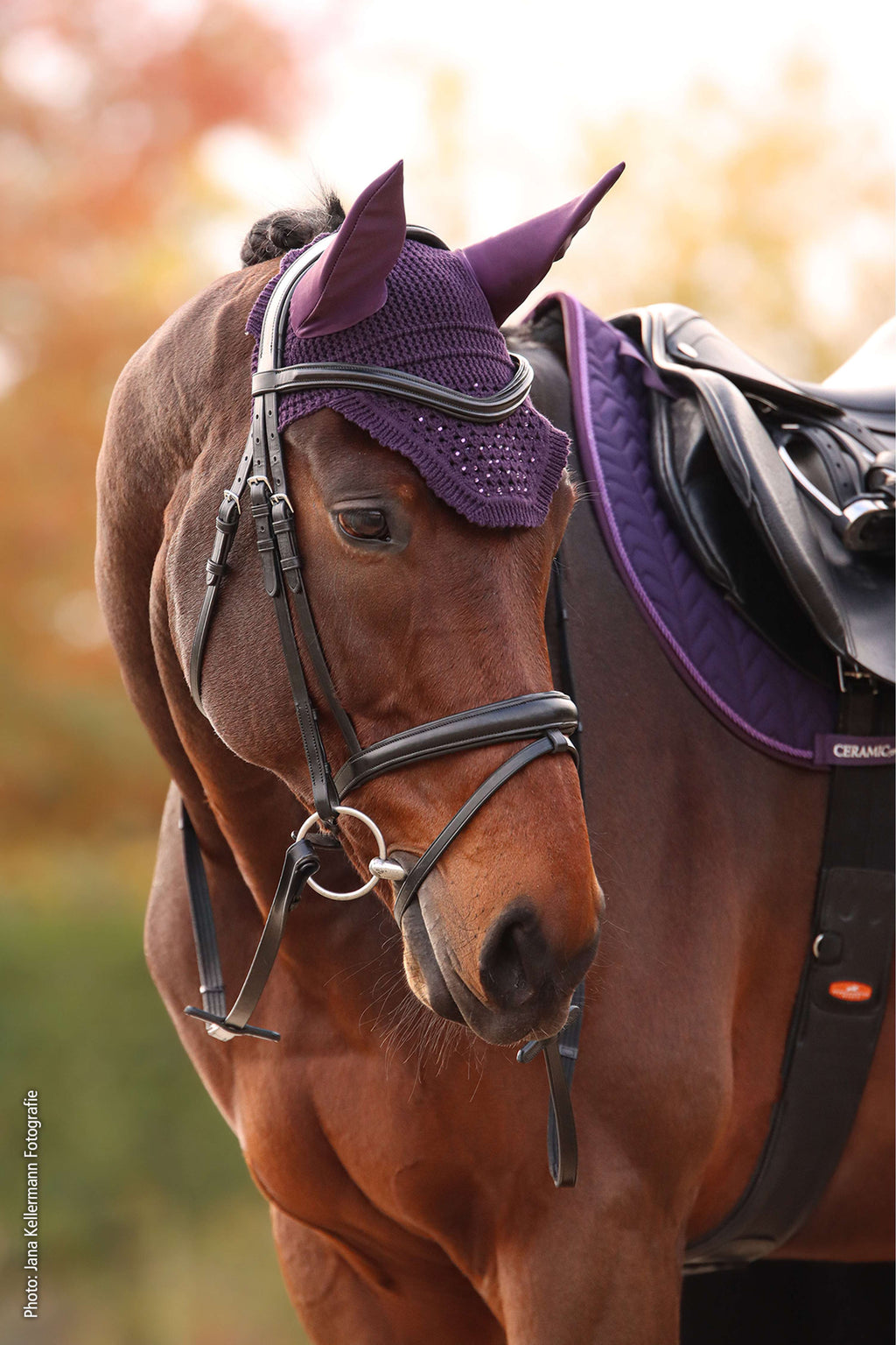 Schockemöhle Fliegenhaube Elegant Spark Dunkelviolett
