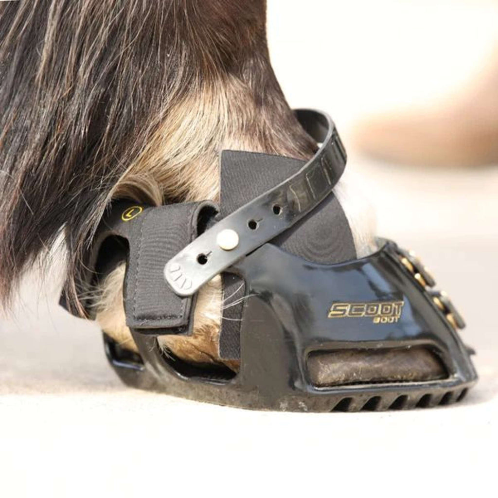 Scoot Boot Hybrid Gaiter Schwarz