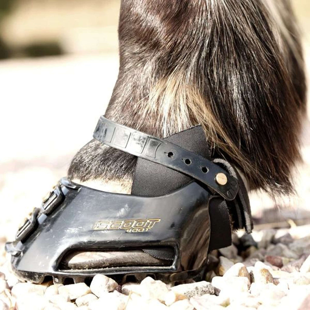 Scoot Boot Hybrid Gaiter Schwarz