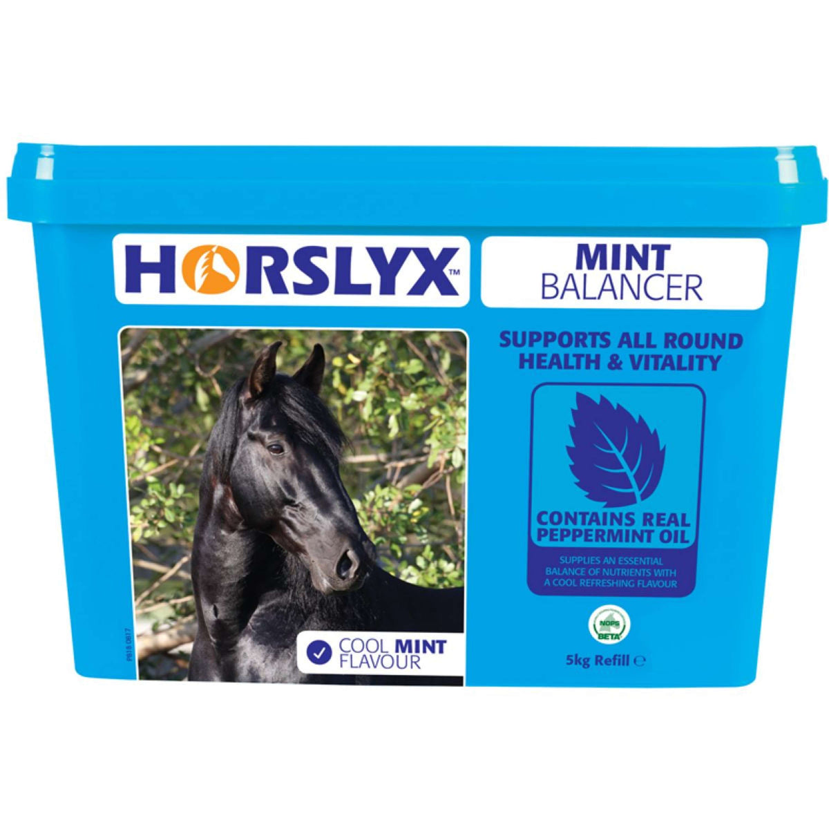 Horslyx Leckstein Mint