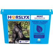 Horslyx Leckstein Mint