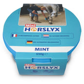 Horslyx Leckstein Mint