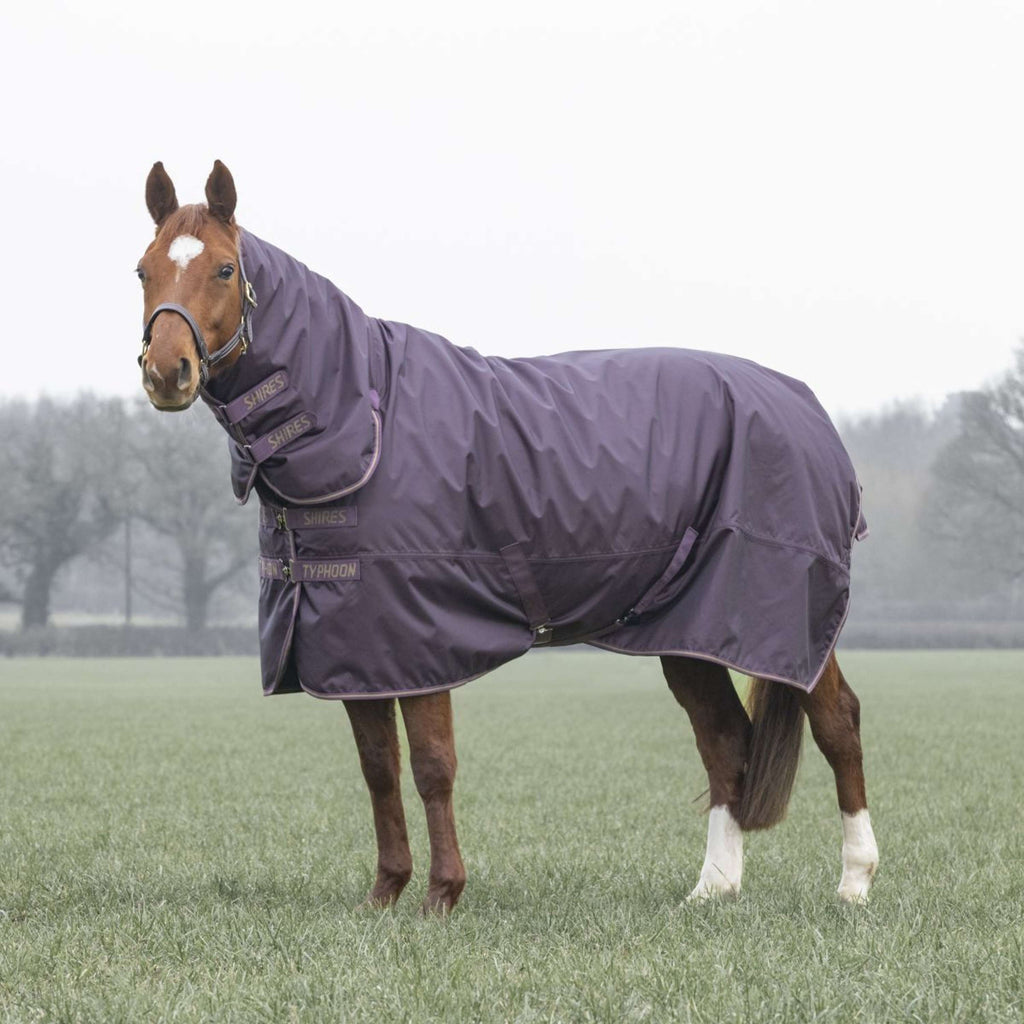 Tempest by Shires Winterdecke Turnout Typhoon 100g Black Cherry