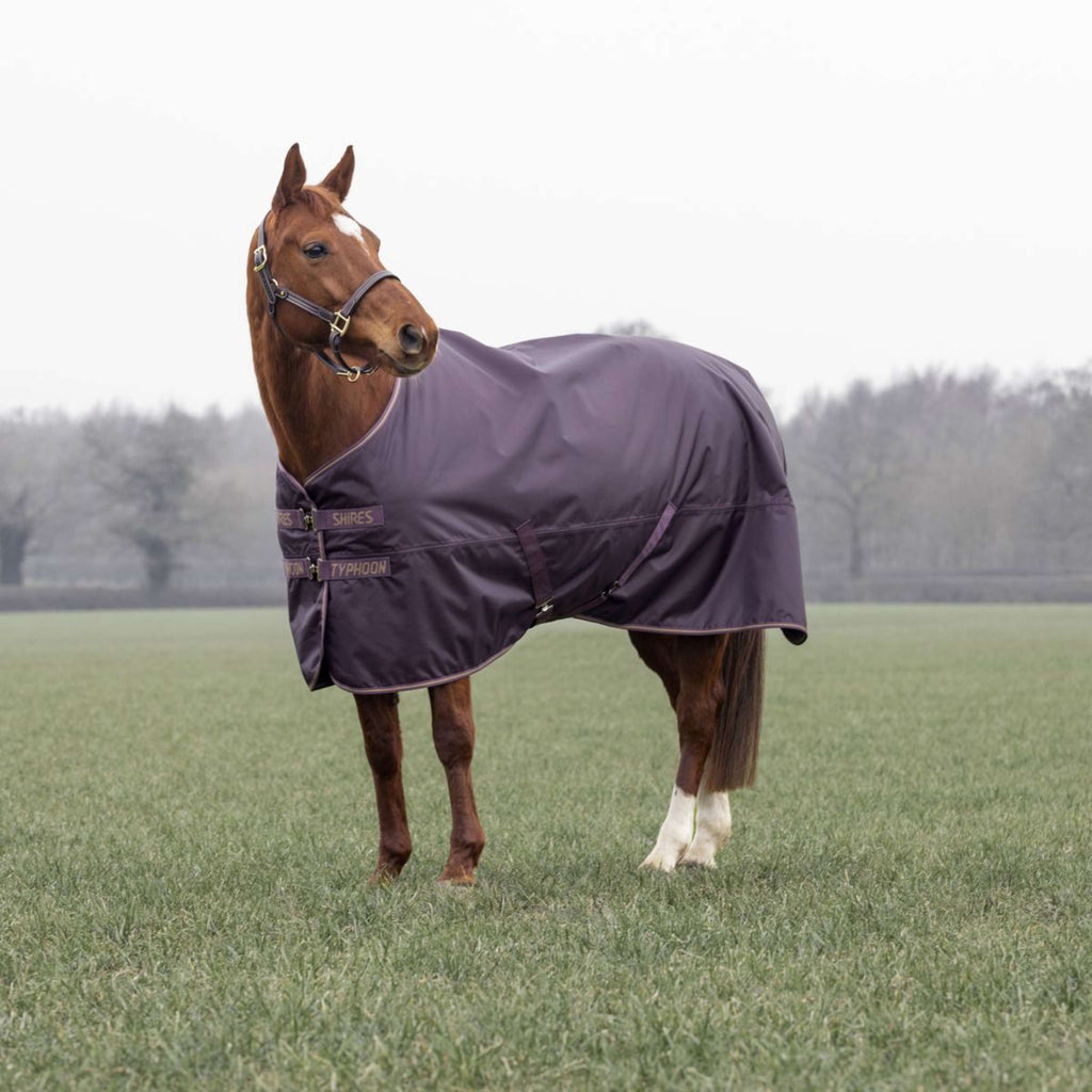 Tempest by Shires Winterdecke Turnout Typhoon 100g Black Cherry