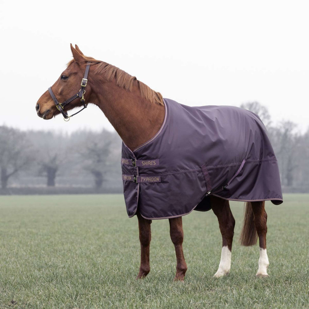 Tempest by Shires Winterdecke Turnout Typhoon 100g Black Cherry