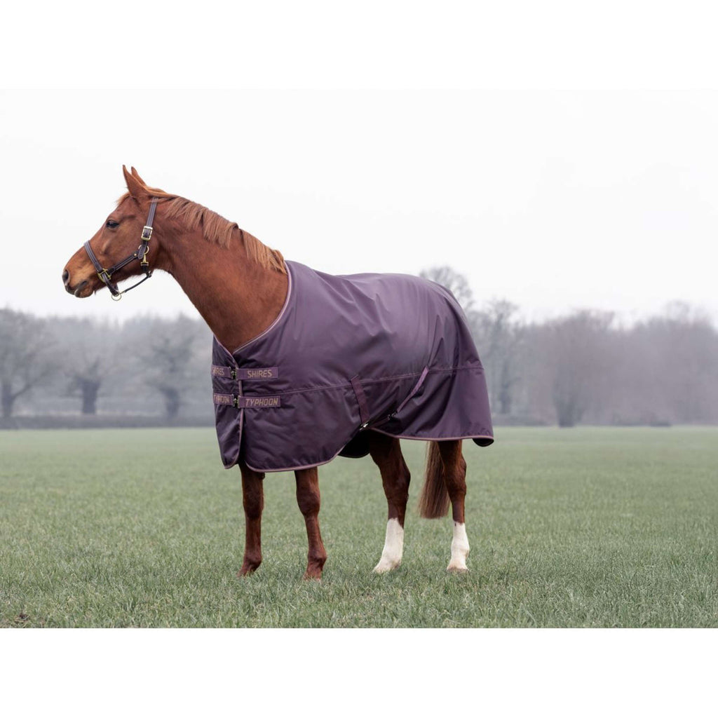 Tempest by Shires Winterdecke Turnout Typhoon 100g Black Cherry