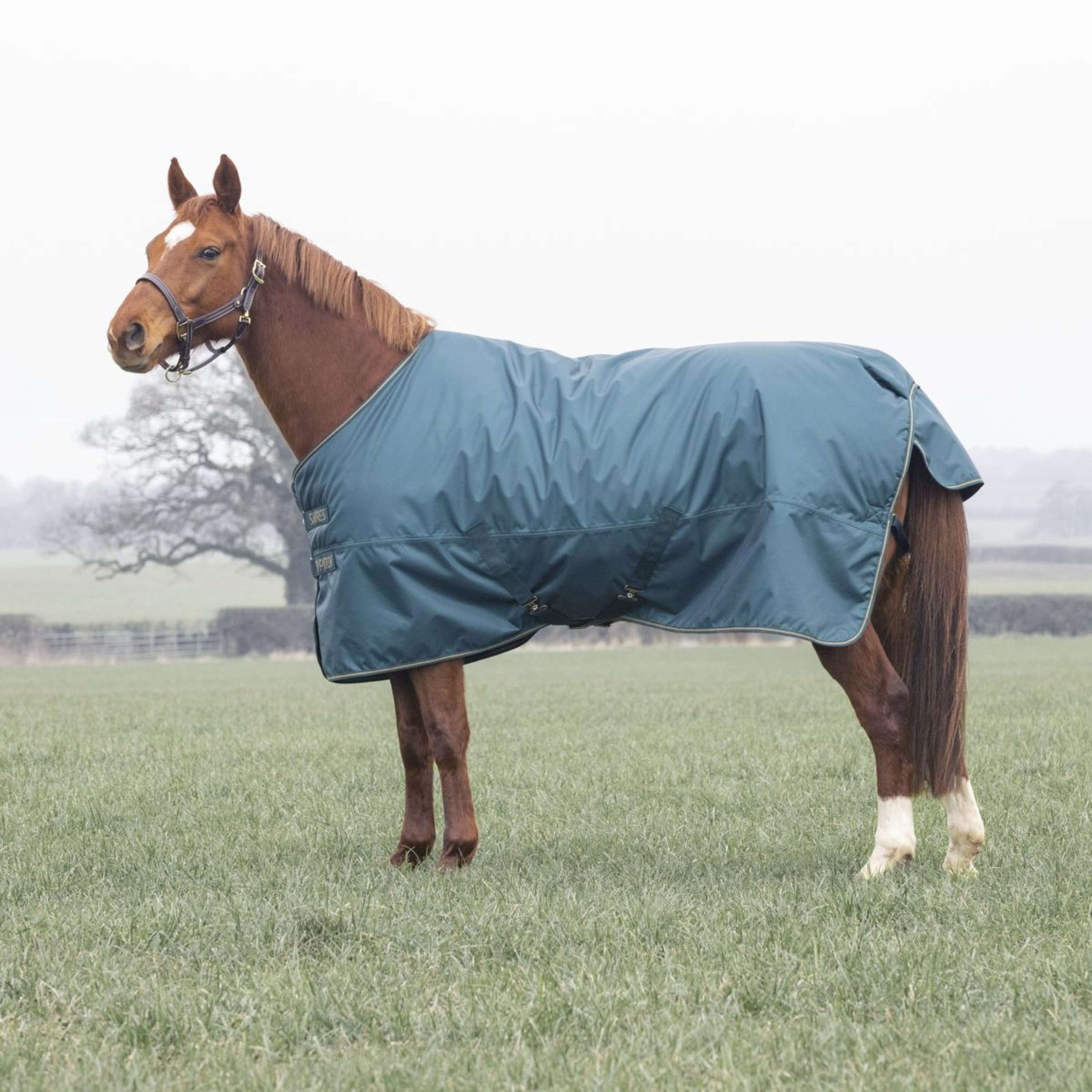 Tempest by Shires Winterdecke Turnout Typhoon 200g Grün Tempest by Shires Winterdecke Turnout Typhoon 200g Grün