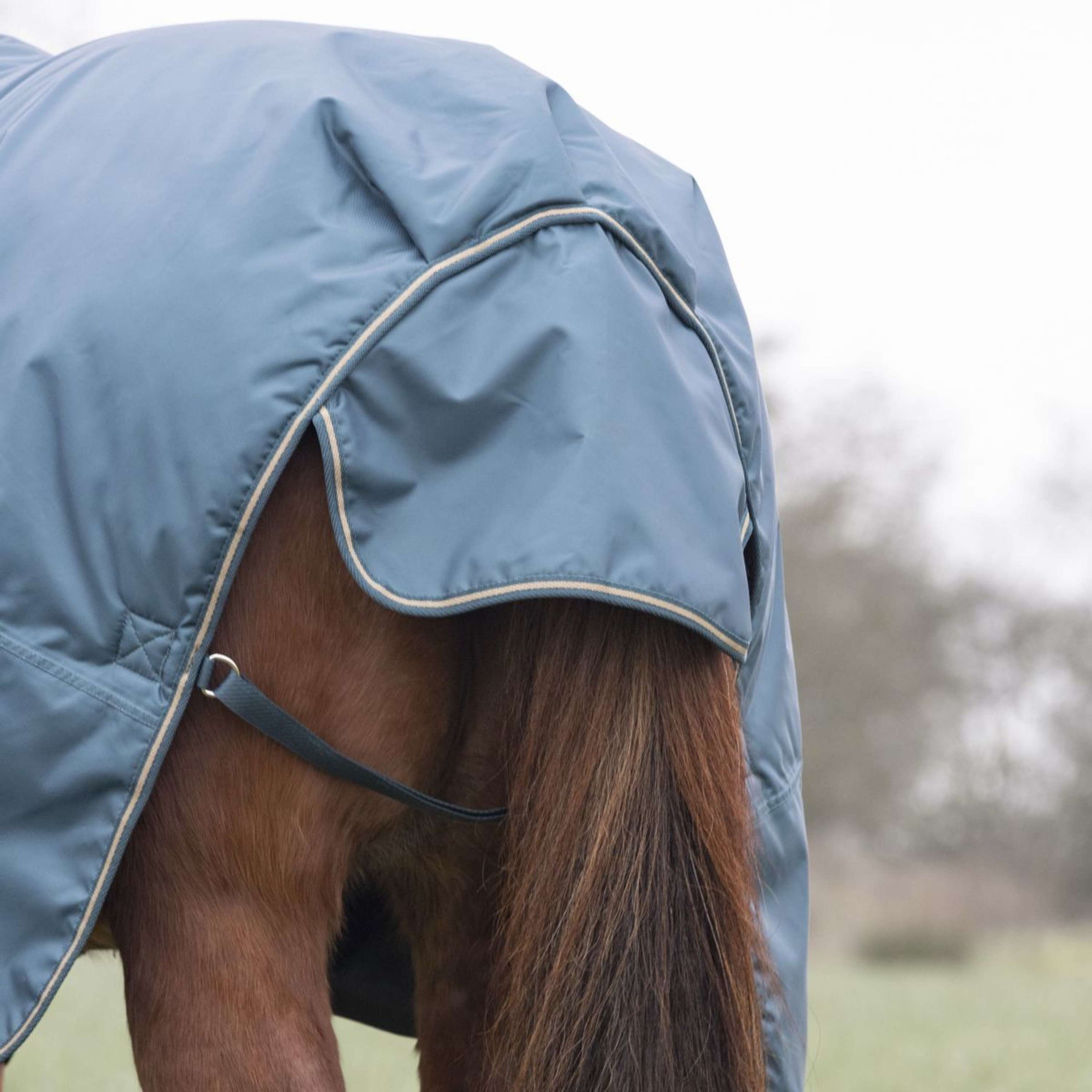 Tempest by Shires Winterdecke Turnout Typhoon 200g Grün Tempest by Shires Winterdecke Turnout Typhoon 200g Grün