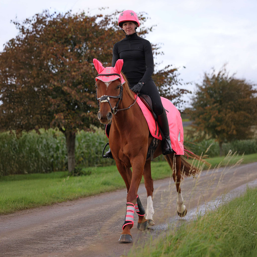 Shires Equi-Flector Rosa