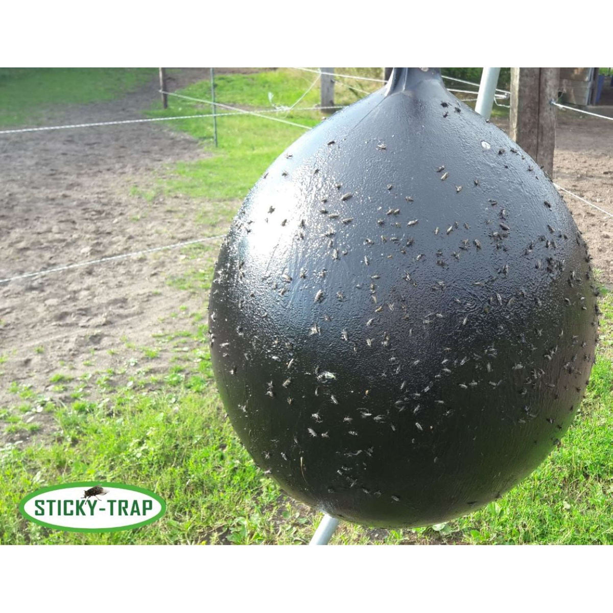 Sticky Trap Ball