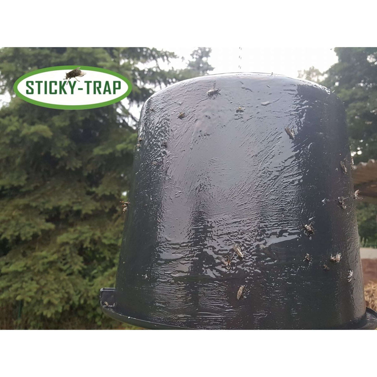 Sticky Trap Eimer Schwarz 12L Schwarz