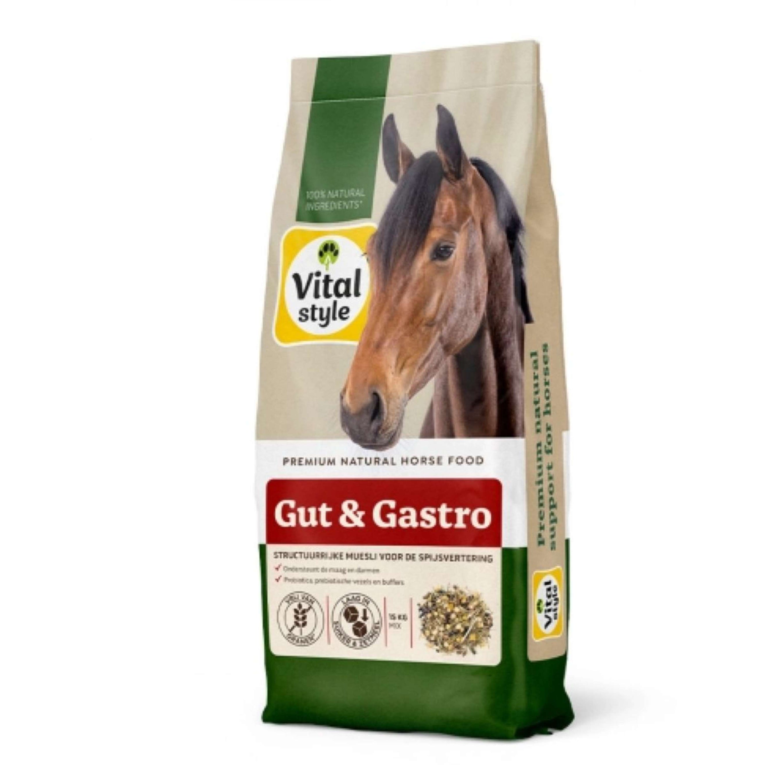 Vitalstyle Müsli Gut & Gastro