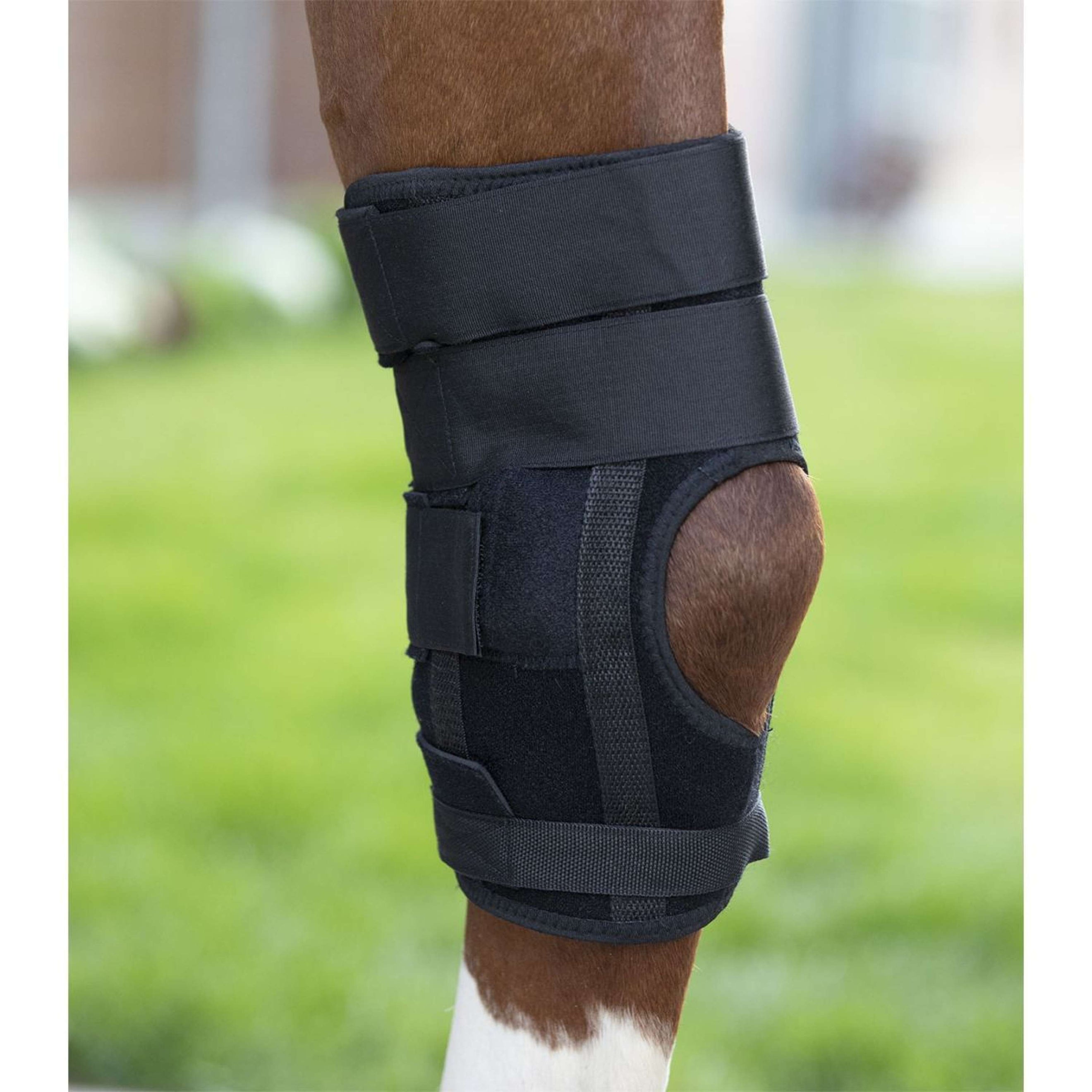 Waldhausen Health + Care Gamaschen Health & Care Sprunggelenk Schwarz