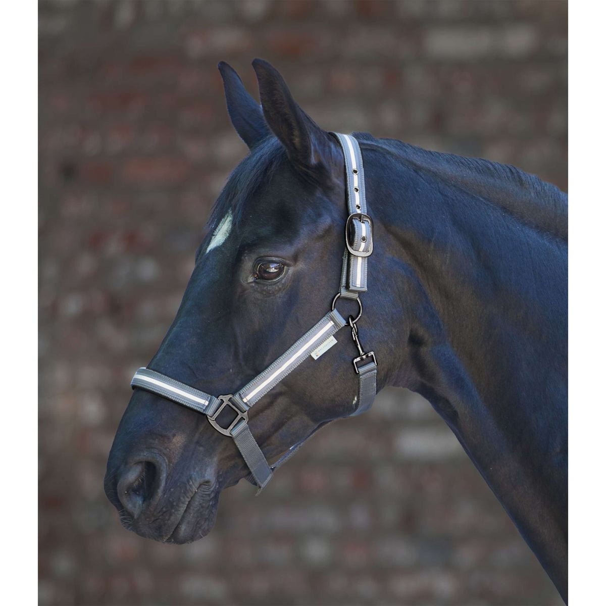 Waldhausen Halfter Reflex Stripe Grau