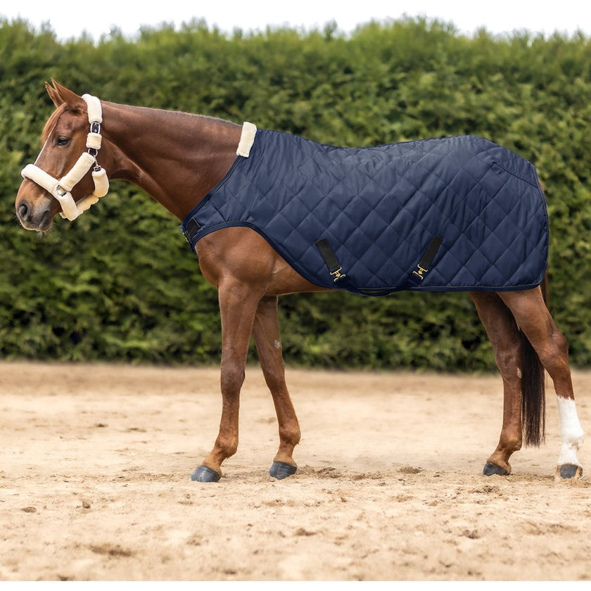 Waldhausen Führanlagendecke Exclusive Nightblue Waldhausen Führanlagendecke Exclusive Nightblue