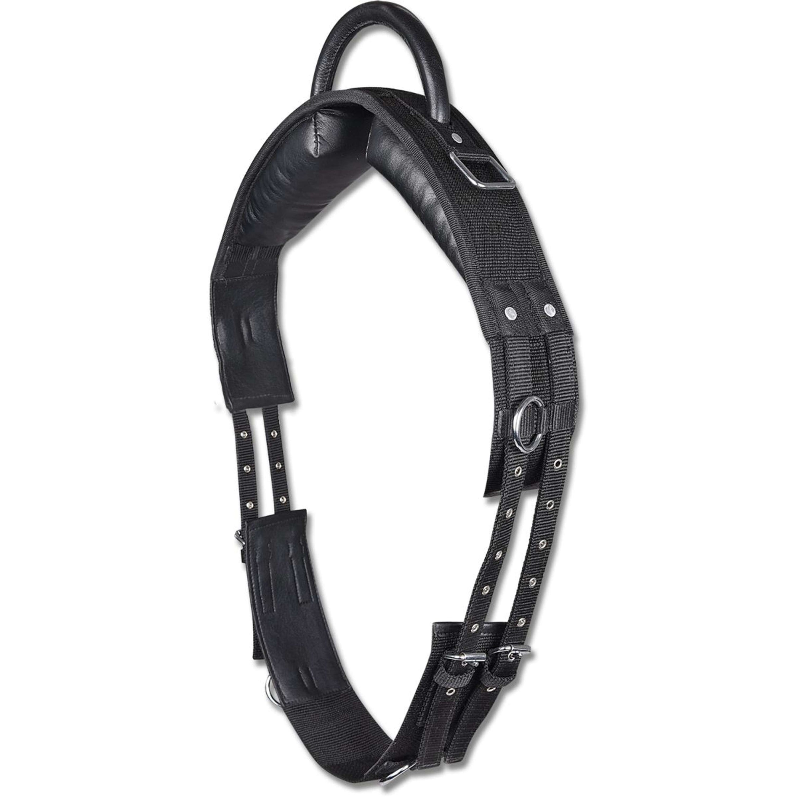 Waldhausen Longiergurt mit Handgriff Schwarz Waldhausen Longiergurt mit Handgriff Schwarz