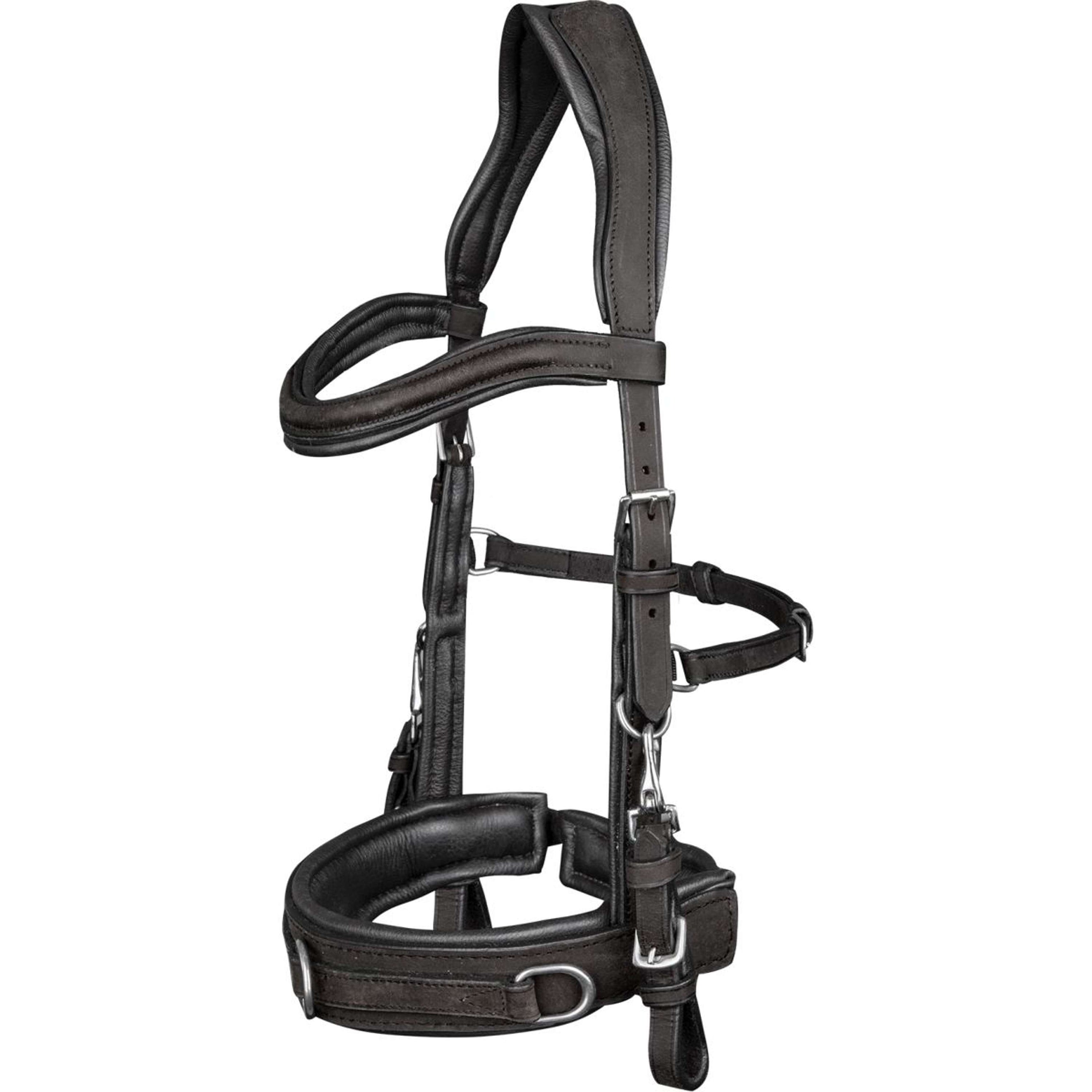 Waldhausen Kapzaum Anatomisch Schwarz Waldhausen Kapzaum Anatomisch Schwarz