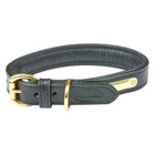 WeatherBeeta Dog Collar Padded Leather Schwarz