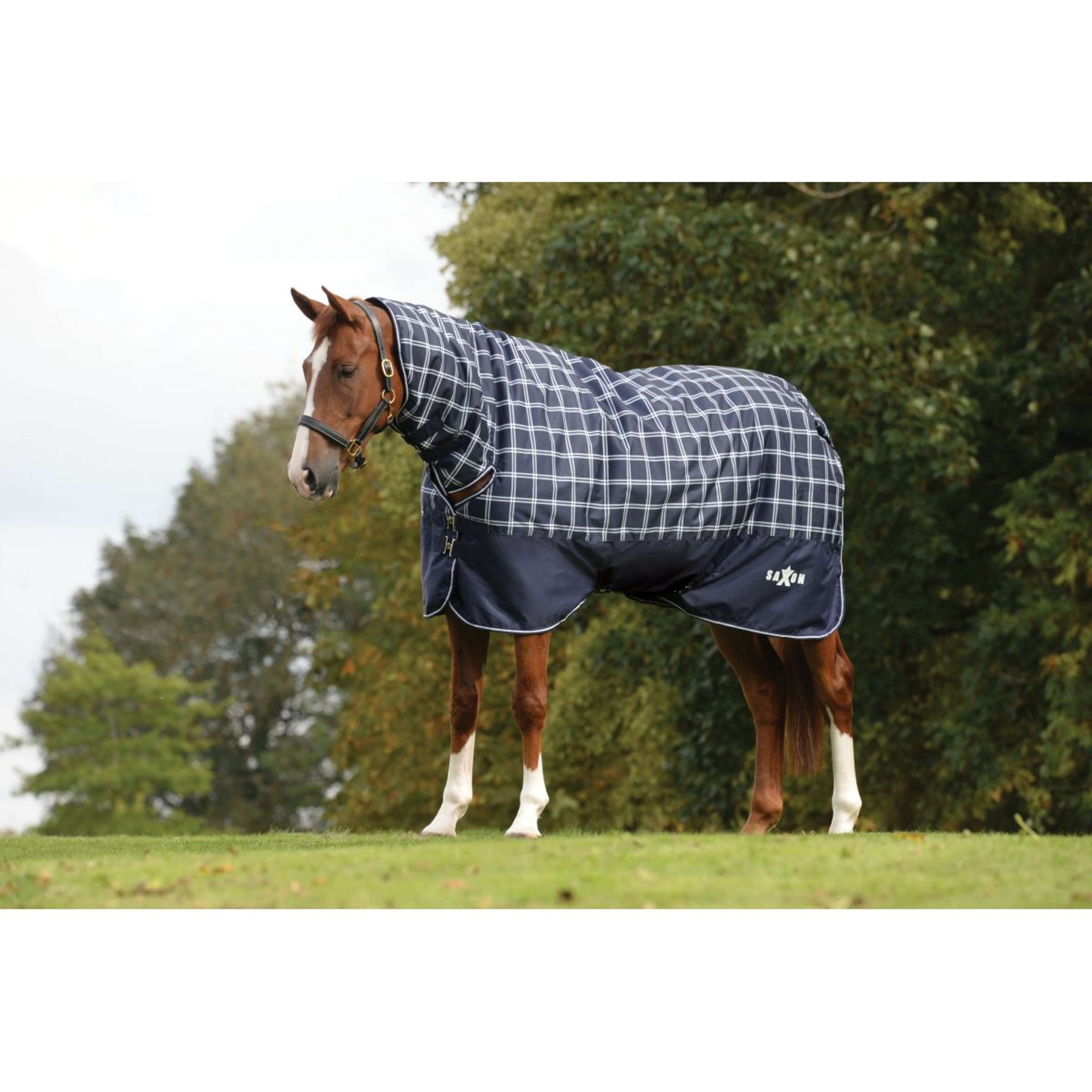 Saxon Decke Defiant 600D Combo Neck Heavy 300g Navy Plaid