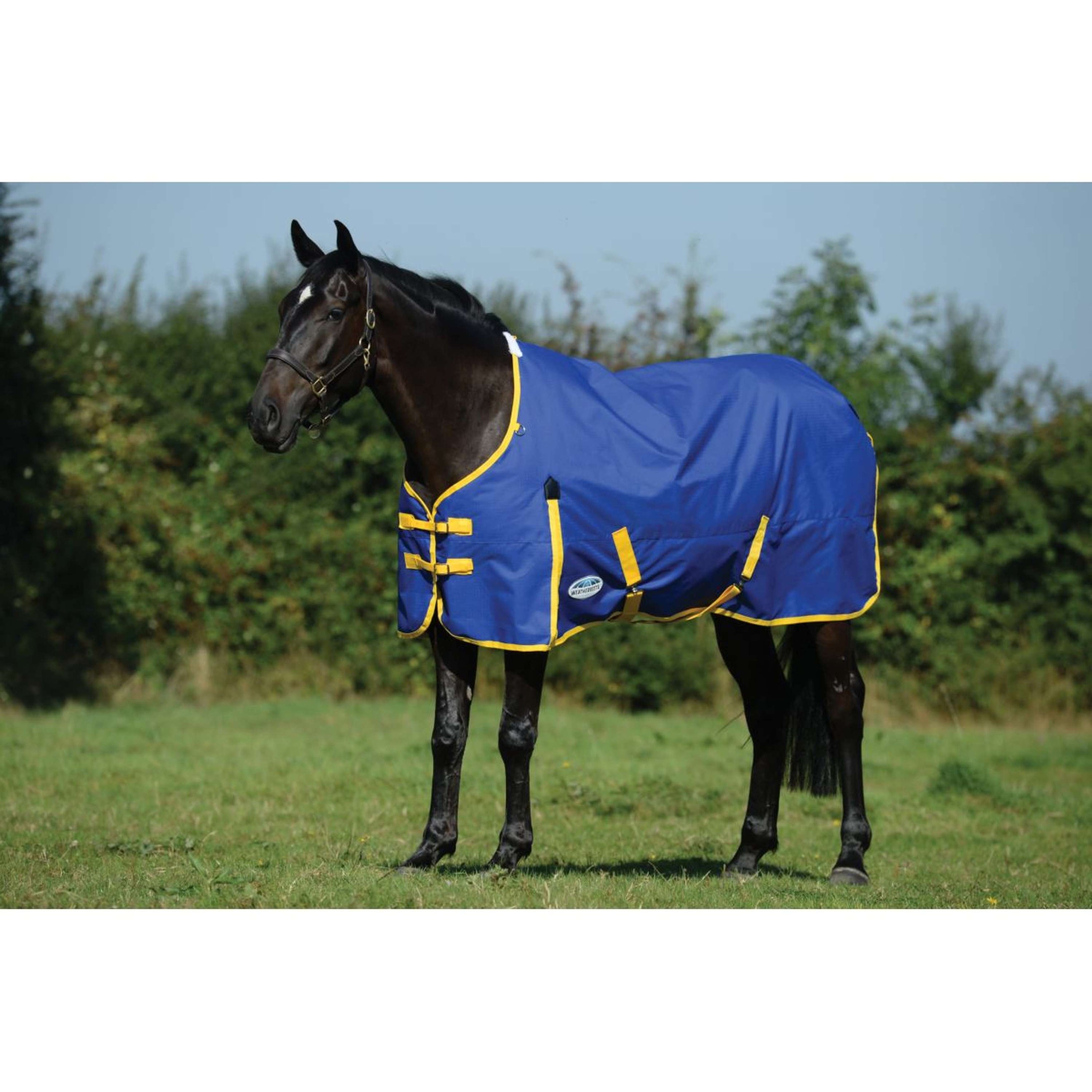 WeatherBeeta ComFiTec Classic Standard Neck Medium Blau/Zitrone WeatherBeeta ComFiTec Classic Standard Neck Medium Blau/Zitrone