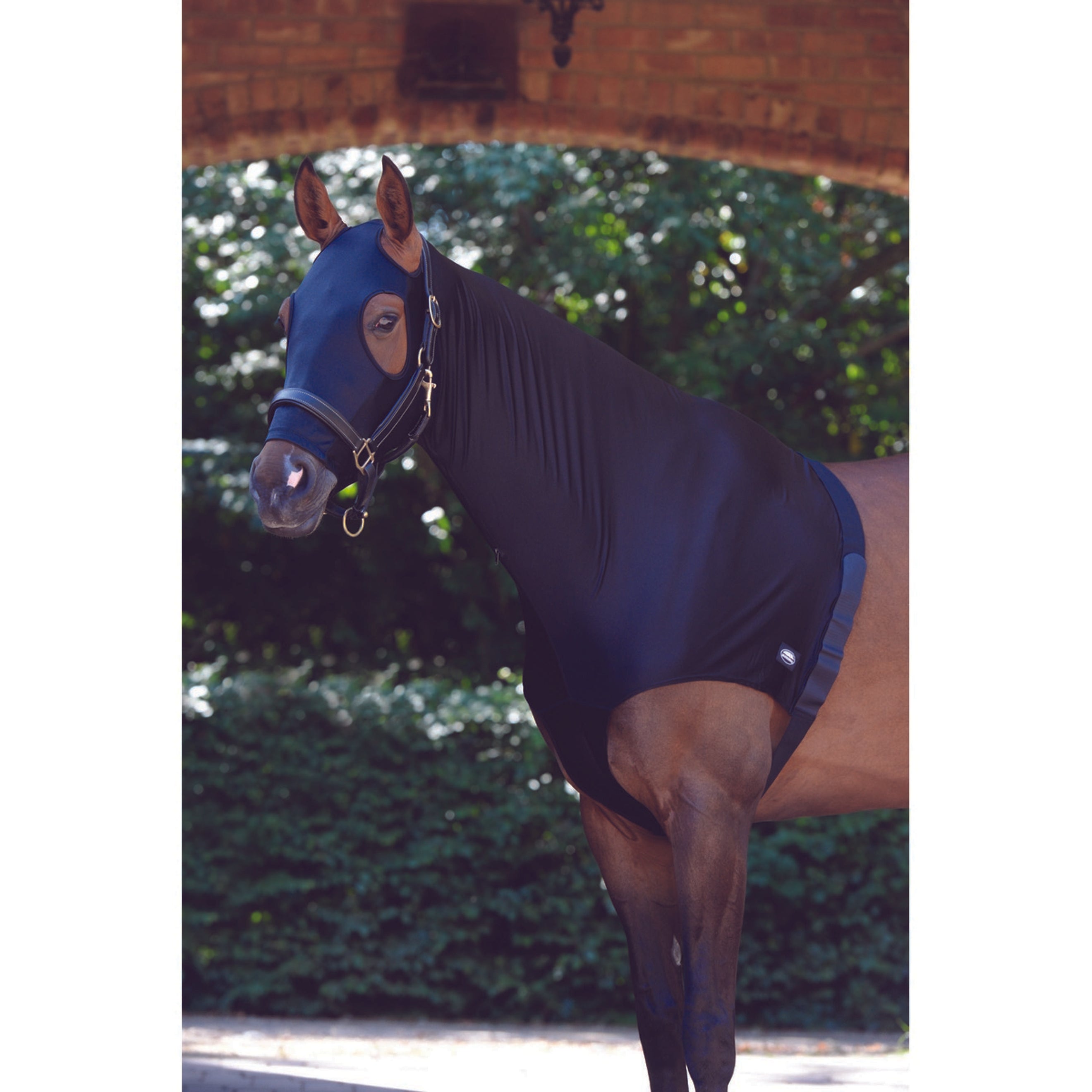 WeatherBeeta Hood Stretch with Zip Schwarz WeatherBeeta Hood Stretch with Zip Schwarz