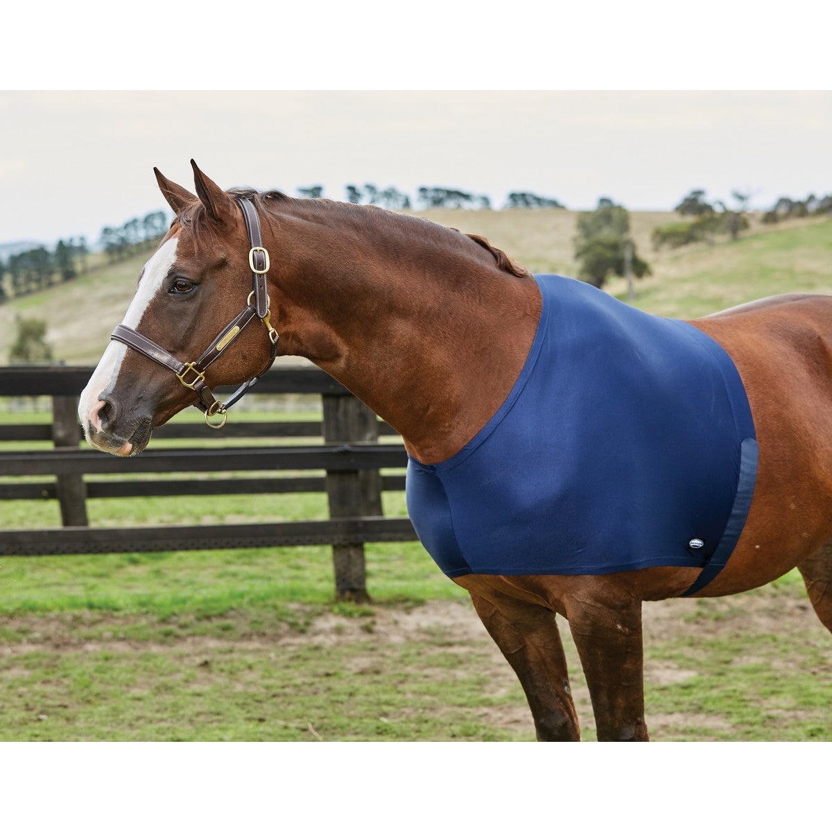 Weatherbeeta Shoulder Guard Stretch Navy