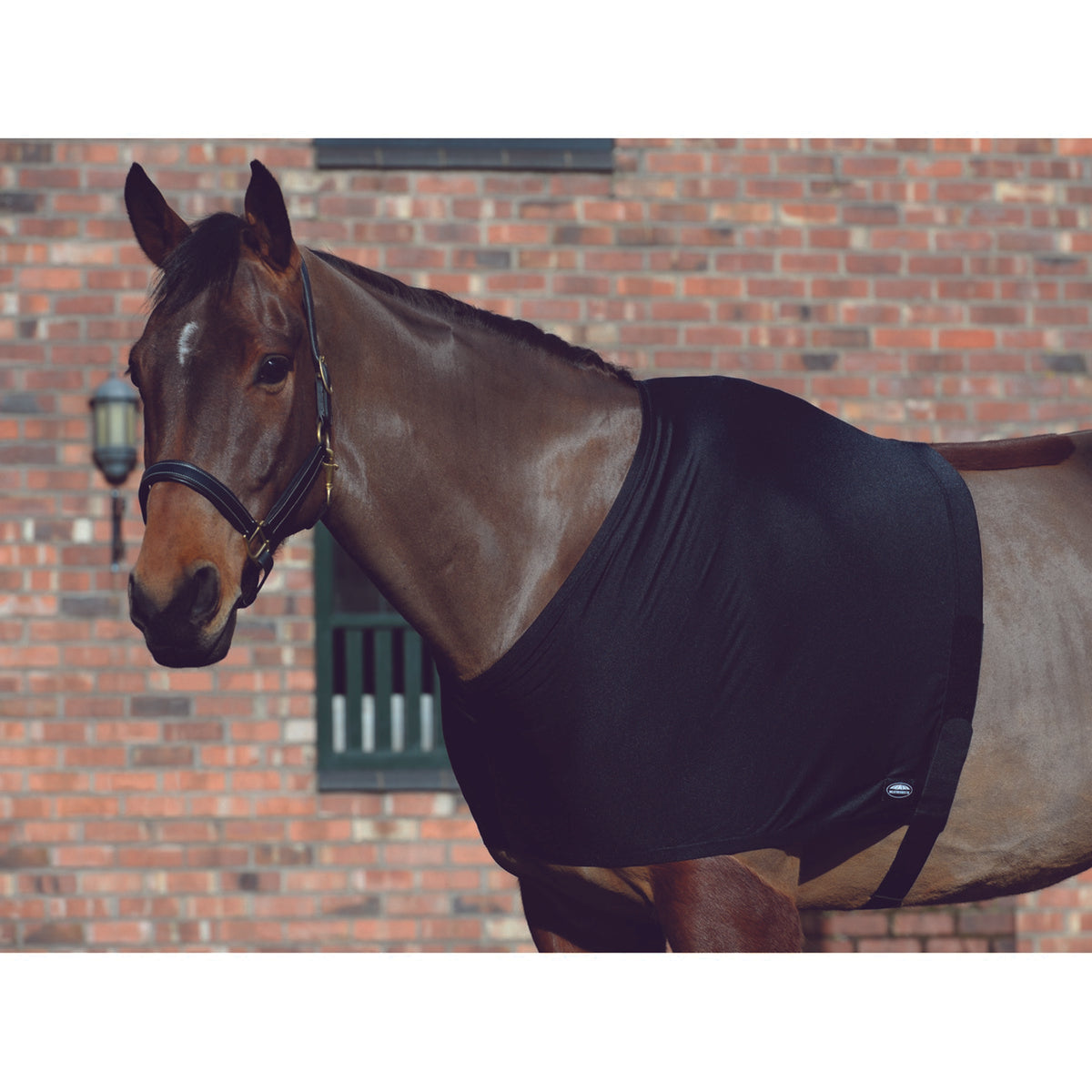 WeatherBeeta Shoulder Guard Stretch Schwarz