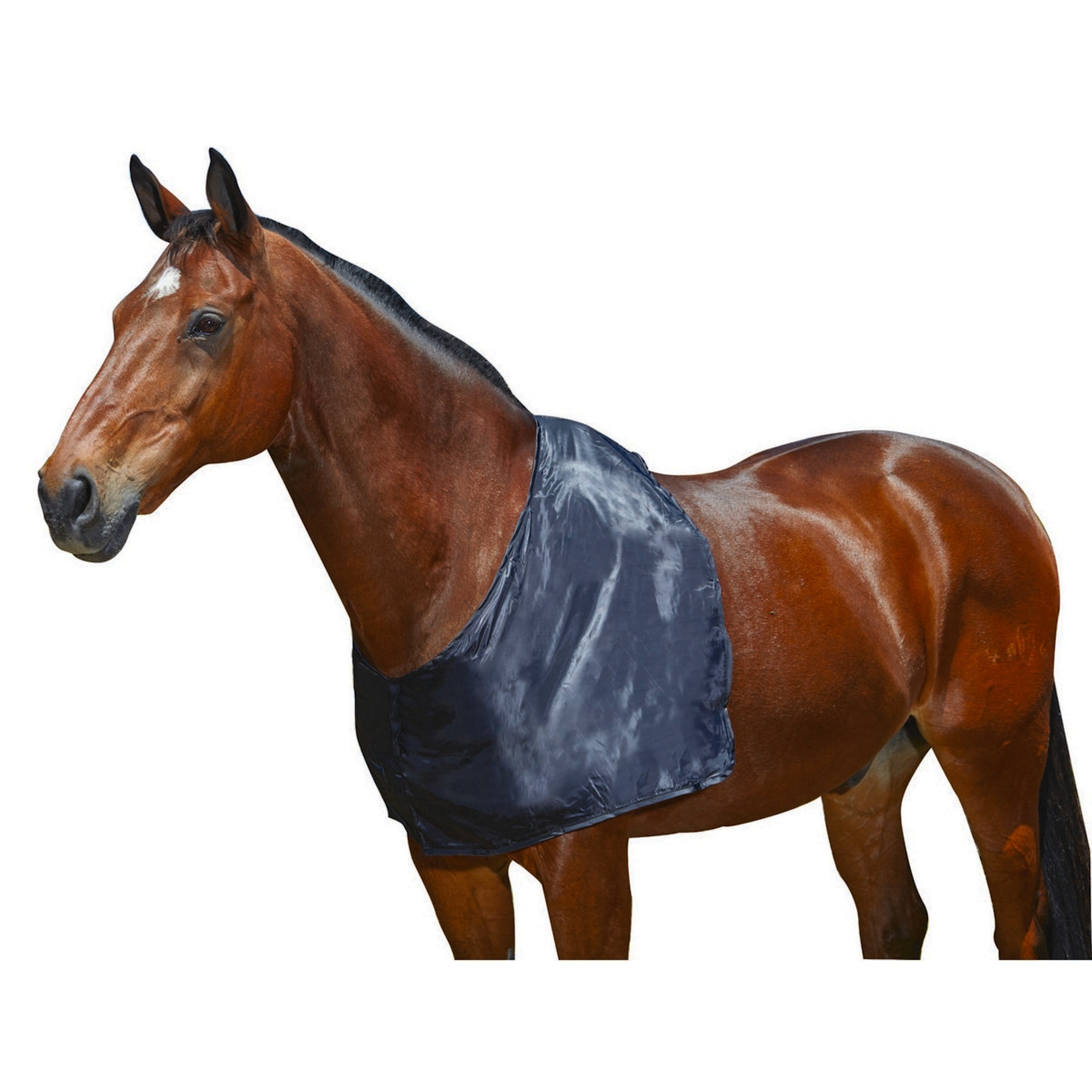 WeatherBeeta Shoulder Guard Satin Schwarz