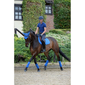 Weatherbeeta Fleecebandagen Prime 4 Stück Royal Blue