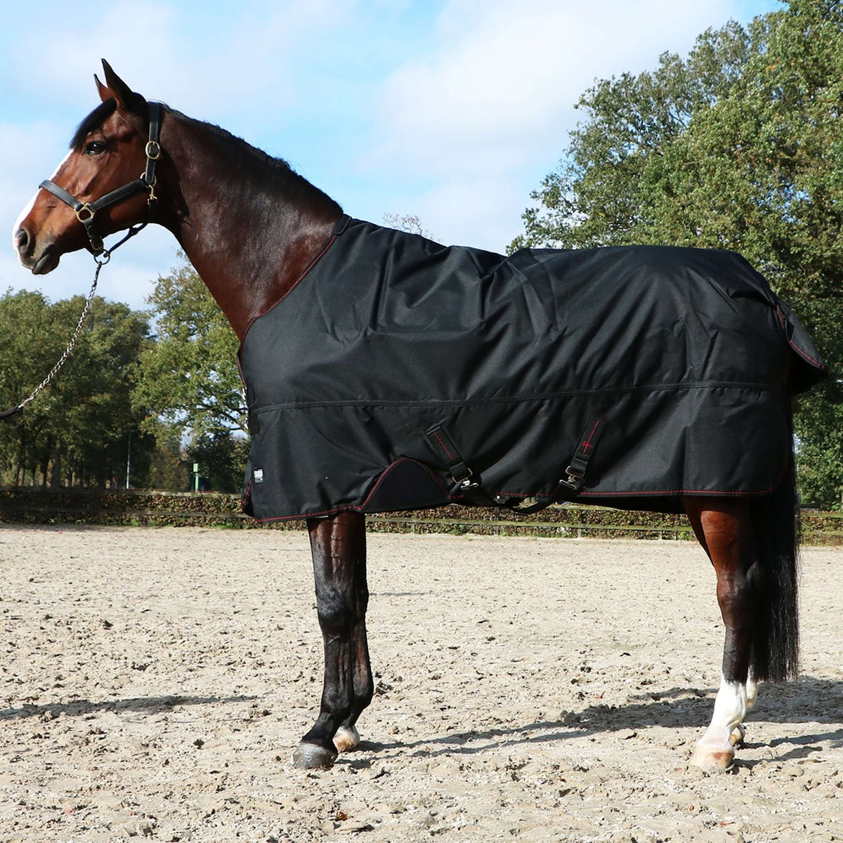 Eskadron Turnout Rug Gamma 840D 150g Schwarz