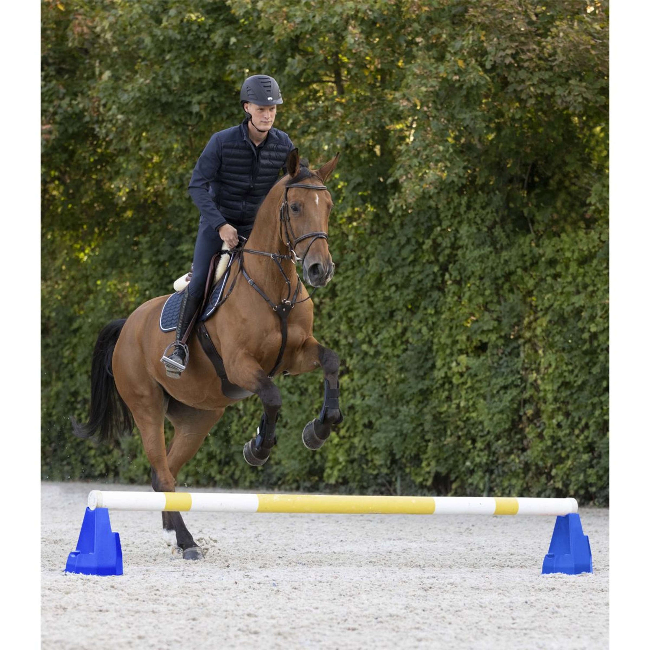 Waldhausen Cavaletti Block Blau Waldhausen Cavaletti Block Blau