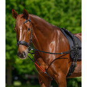 Waldhausen Zügel W-Train