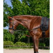 Waldhausen Zügel W-Train