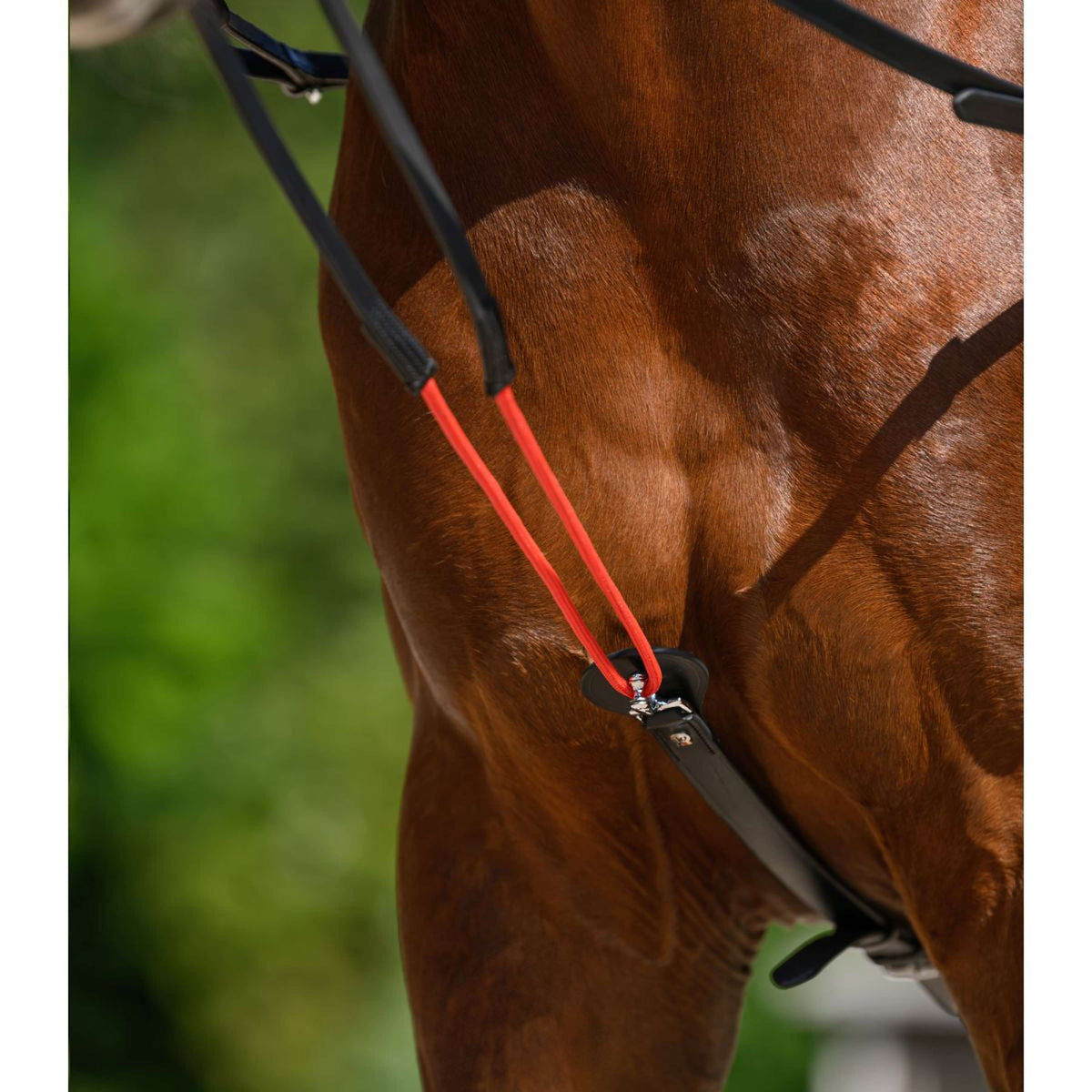 Waldhausen Zügel W-Train