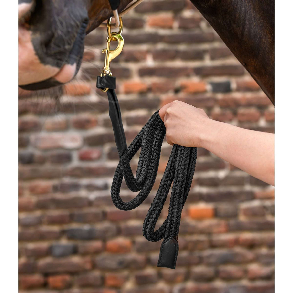 Waldhausen Führstrick Royal mit Karabinerhaken Schwarz