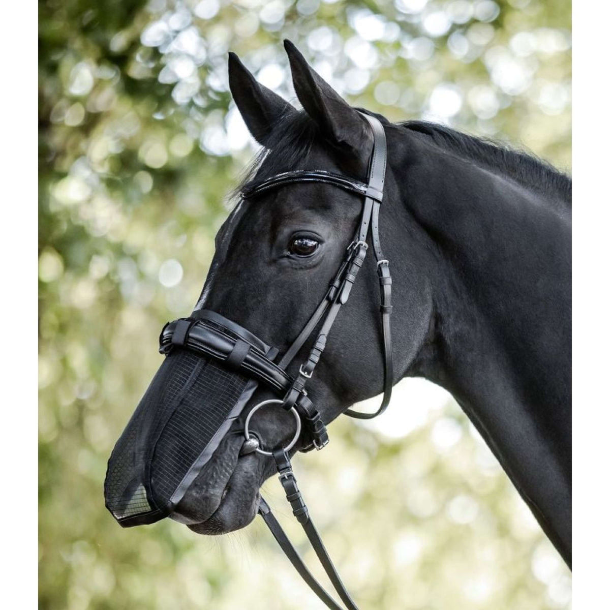 Waldhausen Nasenschutz Schwarz