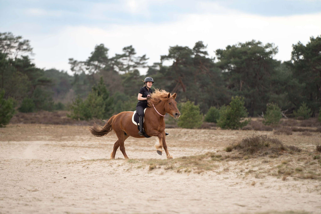 Imperial Riding Bareback Pad IRHFree Ride Schwarz