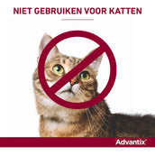 Advantix 100/500 Spot-On Hund 4-10kg