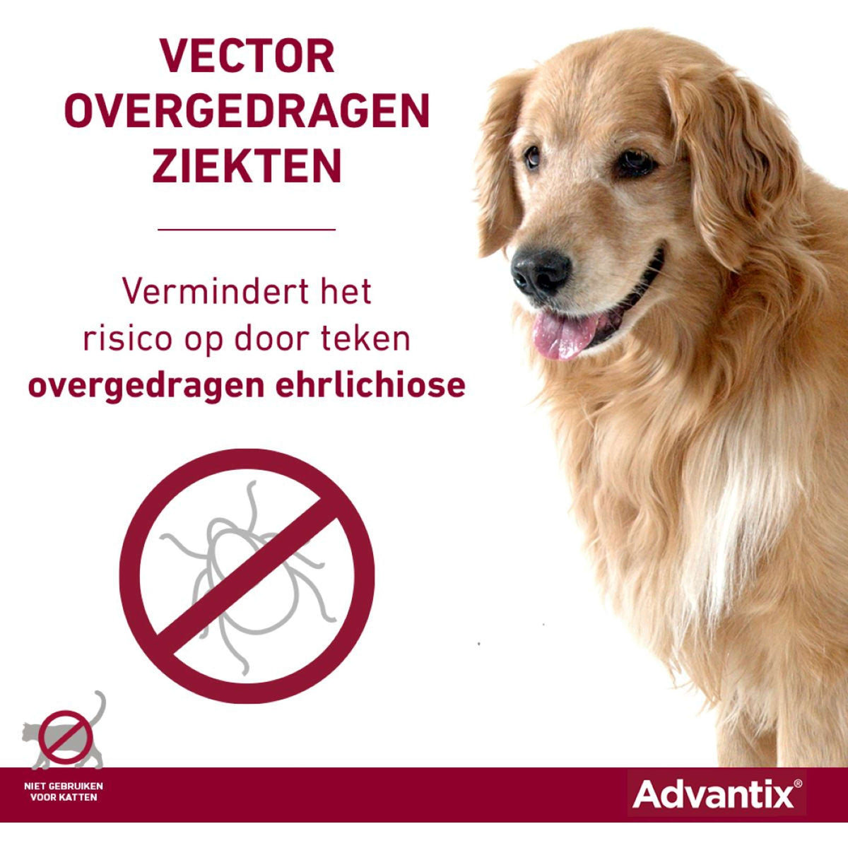 Advantix 100/500 Spot-On Hund 4-10kg