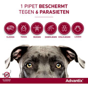 Advantix 40/200 Spot-On Hund < 4kg