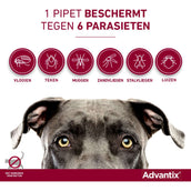 Advantix 250/1250 Spot-On Hund 10-25kg